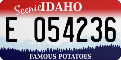 ID license plate E054236