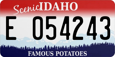ID license plate E054243