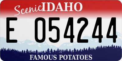ID license plate E054244