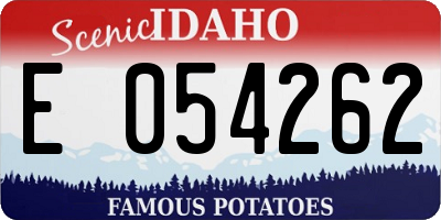ID license plate E054262