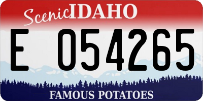 ID license plate E054265