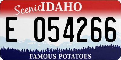 ID license plate E054266