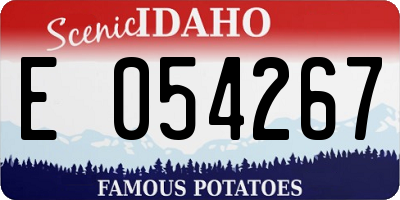 ID license plate E054267