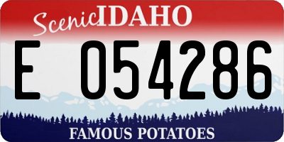 ID license plate E054286