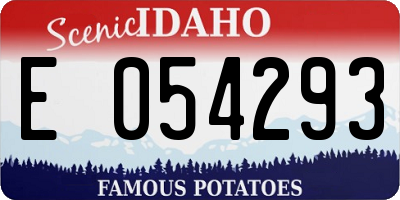 ID license plate E054293