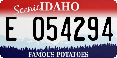 ID license plate E054294