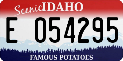 ID license plate E054295