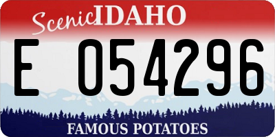 ID license plate E054296