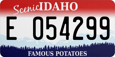 ID license plate E054299