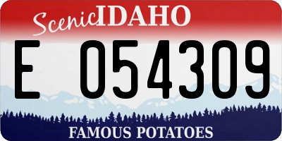 ID license plate E054309