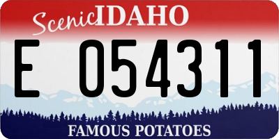 ID license plate E054311