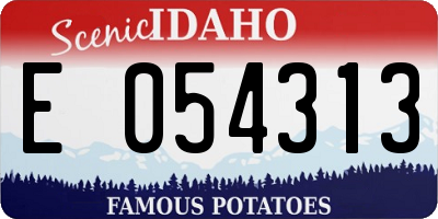 ID license plate E054313