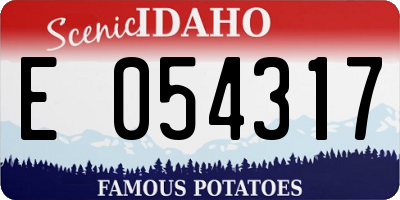 ID license plate E054317