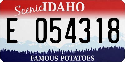 ID license plate E054318