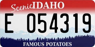 ID license plate E054319