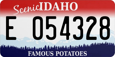 ID license plate E054328