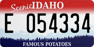 ID license plate E054334
