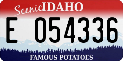 ID license plate E054336