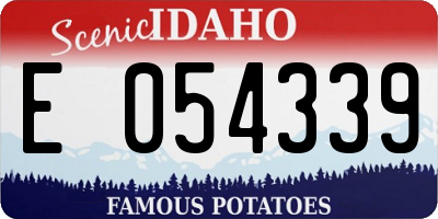 ID license plate E054339