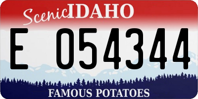 ID license plate E054344