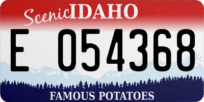ID license plate E054368