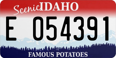 ID license plate E054391