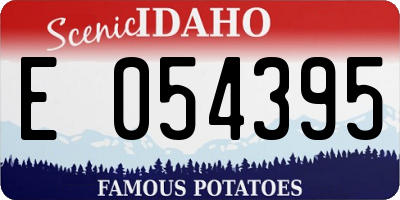 ID license plate E054395