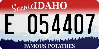 ID license plate E054407