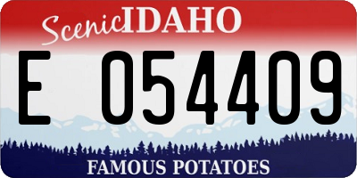 ID license plate E054409