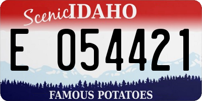 ID license plate E054421