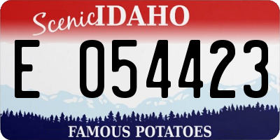 ID license plate E054423