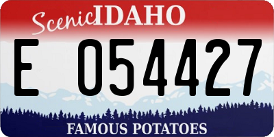 ID license plate E054427