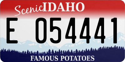ID license plate E054441