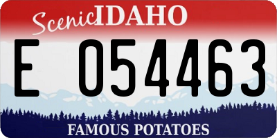ID license plate E054463
