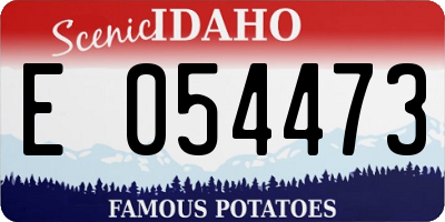 ID license plate E054473