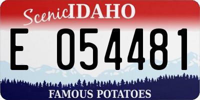 ID license plate E054481