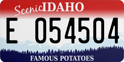 ID license plate E054504