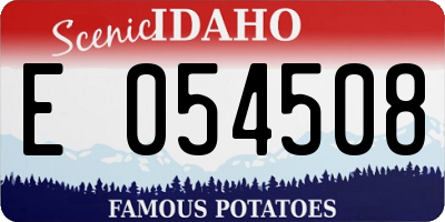 ID license plate E054508