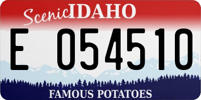 ID license plate E054510