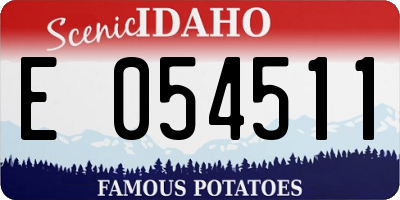 ID license plate E054511