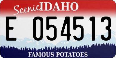 ID license plate E054513