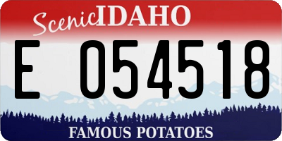 ID license plate E054518