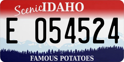 ID license plate E054524