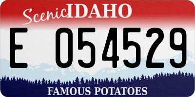 ID license plate E054529