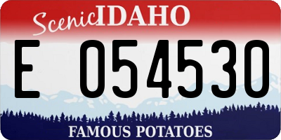 ID license plate E054530