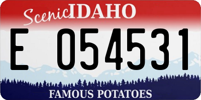 ID license plate E054531