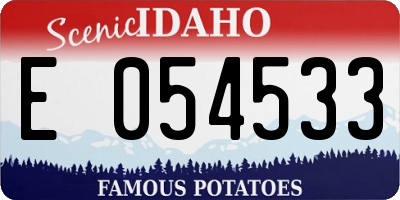 ID license plate E054533