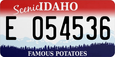 ID license plate E054536