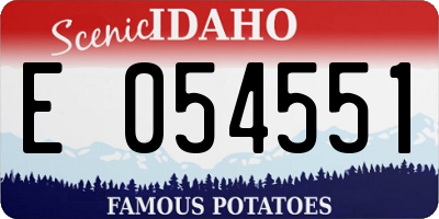 ID license plate E054551