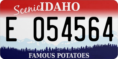 ID license plate E054564